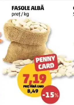 Penny Fasole albă Ofertă