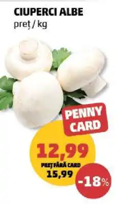 Penny CIUPERCI ALBE Ofertă