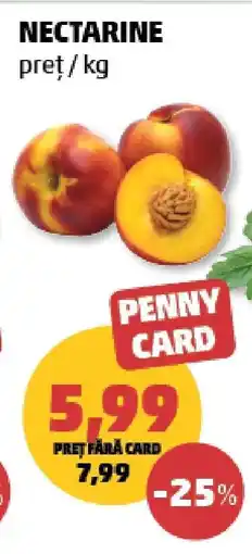 Penny Nectarine Ofertă