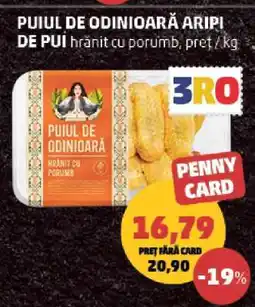 Penny PUIUL DE ODINIOARĂ ARIPI DE PUI Ofertă