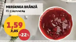 Penny Merdenea Brânză Ofertă