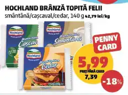 Penny HOCHLAND Brânză topită felii Ofertă