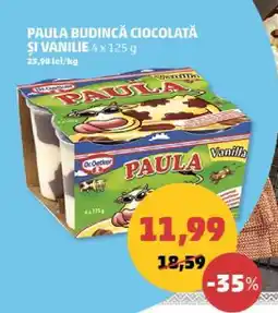 Penny PAULA BUDINCĂ CIOCOLATĂ ȘI VANILIE 4 x 125 g Ofertă
