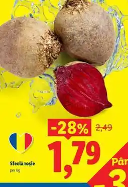 Lidl Sfeclă roşie Ofertă