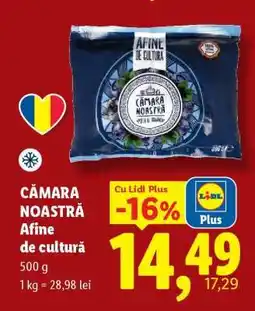 Lidl CĂMARA NOASTRĂ Afine de cultură Ofertă