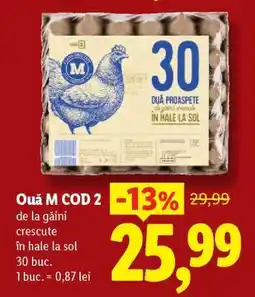 Lidl Ouă M cod 2 Ofertă