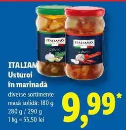 Lidl ITALIAMO Usturoi în marinadă Ofertă