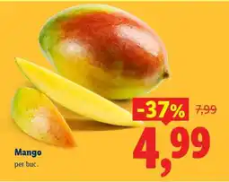 Lidl Mango Ofertă