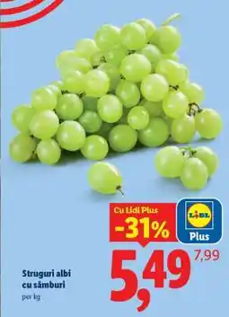 Lidl Struguri albi cu sâmburi Ofertă