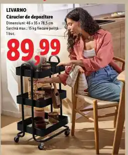 Lidl LIVARNO Cărucior de depozitare Ofertă