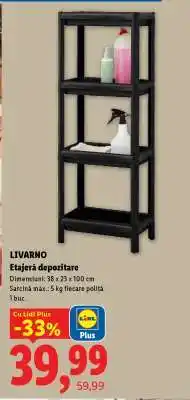 Lidl LIVARNO Etajeră depozitare Ofertă