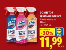 Lidl Domestos Spumă de Curățare Ofertă