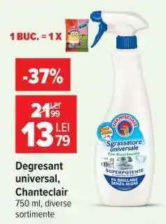 Carrefour Degresant universal Chanteclair Ofertă