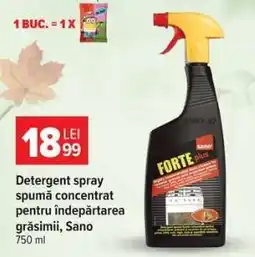 Carrefour Detergent spray spumă concentrat pentru îndepărtarea grăsimii, Sano Ofertă