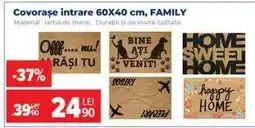 Carrefour Covorașe intrare 60x40 cm, FAMILY Ofertă