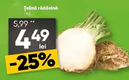 PROFI Țelină rădăcină Ofertă