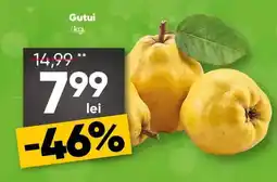 PROFI Gutui Ofertă