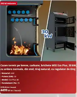 Dedeman Cazan termic pe lemne, carbune, brichete MSS Eco Plus, 30 kW. Ofertă