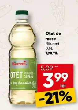 PROFI Raureni otet de mere Ofertă