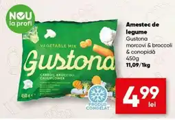 PROFI Gustona amestec de legume morcovi & broccoli & conopidă Ofertă