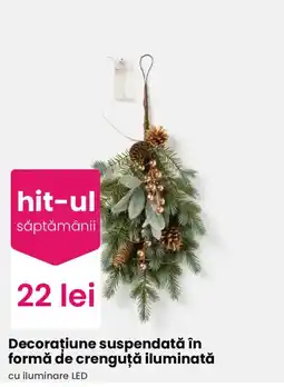 Pepco hit-ul săptămânii Ofertă