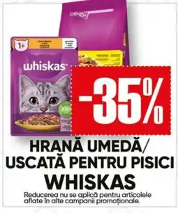PROFI Whiskas hrană umedă/uscătă pentru pisici Ofertă