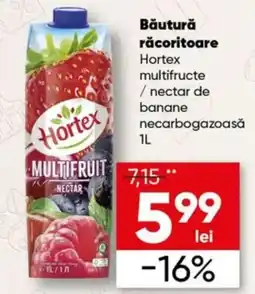 PROFI Hortex multifructe / nectar de banane Ofertă