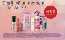 DM alverde perfect cover foundation & concealer Ofertă