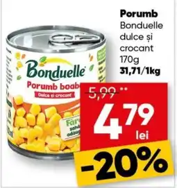 PROFI Bonduelle porumb boabe dulce si crocant Ofertă