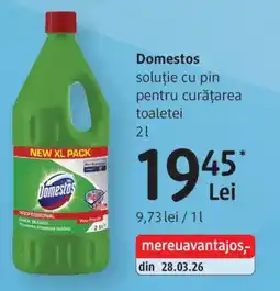 DM Domestos soluție cu pin pentru curățarea toaletei Ofertă