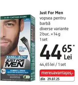 DM Just For Men vopsea pentru barbă Ofertă
