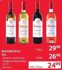 Selgros Budureasca Vin Ofertă