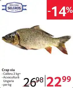 Selgros Pescaria Selgros Crap viu Ofertă