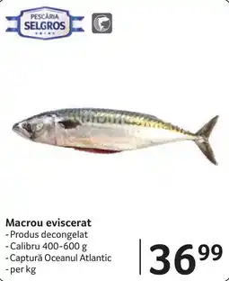 Selgros Selgros macrou eviscerat Ofertă
