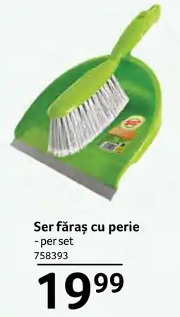 Selgros Ser făraș cu perie Ofertă