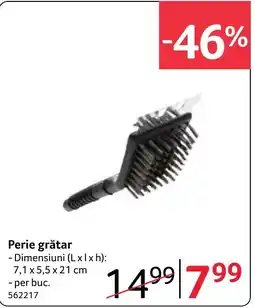 Selgros Perie grătar Ofertă