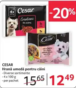 Selgros Cesar Hrană umedă pentru câini Ofertă