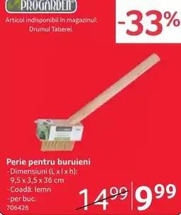 Selgros ProGarden perie pentru buruieni Ofertă