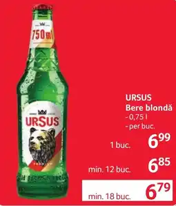 Selgros Ursus bere blondă Ofertă