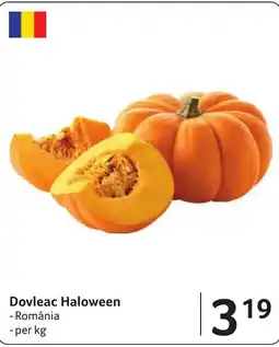 Selgros Dovleac Halloween Ofertă