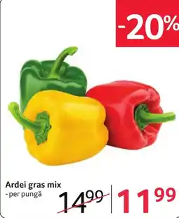 Selgros Ardei gras mix Ofertă
