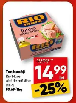 PROFI Ton bucăți Rio Mare Ofertă