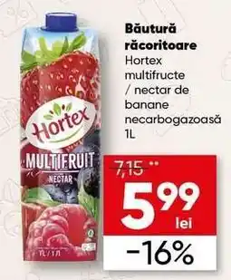 PROFI Băutură răcoritoare Hortex multifructe / nectar de banane necarbogazoasă 1L Ofertă