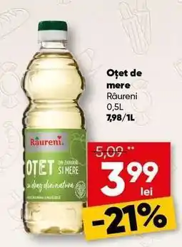 PROFI Oțet de mere Râureni Ofertă