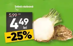 PROFI Ţelină rădăcină Ofertă