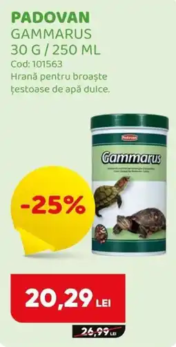 Animax Padovan gammarus Ofertă