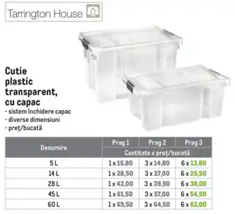 Tarrington House cutie plastic transparent cu capac