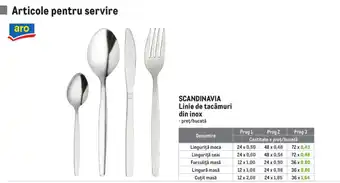 Aro scandinavia linie de tacamuri din inox
