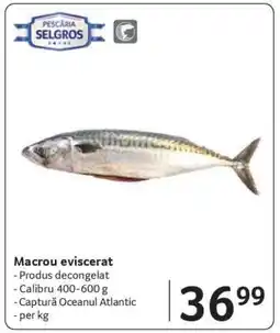 Selgros Macrou eviscerat Ofertă