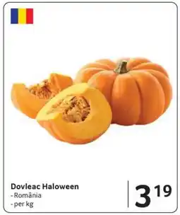 Selgros Dovleac Haloween Ofertă